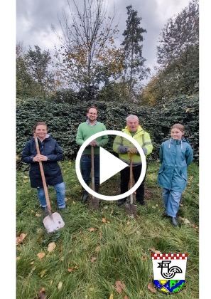 Baum Challenge Vorschau