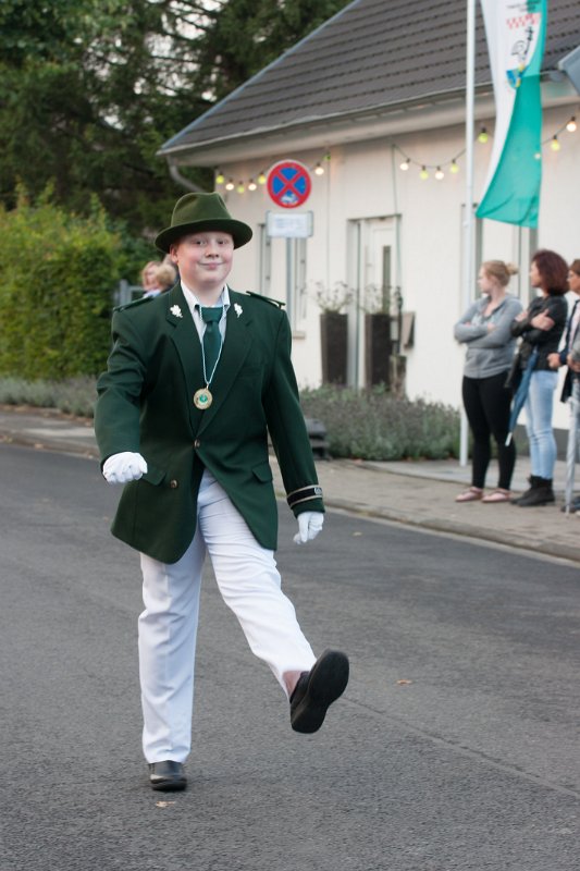 Bild (403)