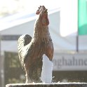 IMG_8126