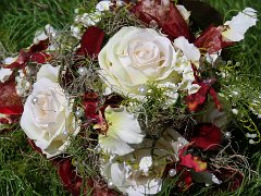 IMG_8347-5