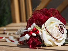 IMG_8355-8